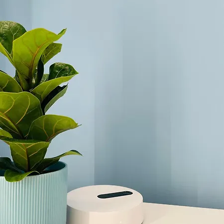 Bluceleste Centro 3* סלרנו